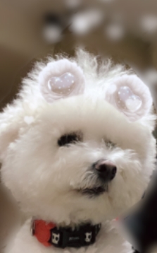 Baidu IME_2019-11-23_22-51-5.jpg