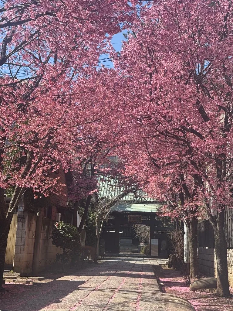 女性用風俗セラピスト写メ日記