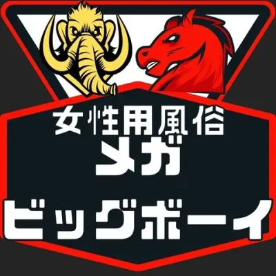 女性用風俗ショップランキング